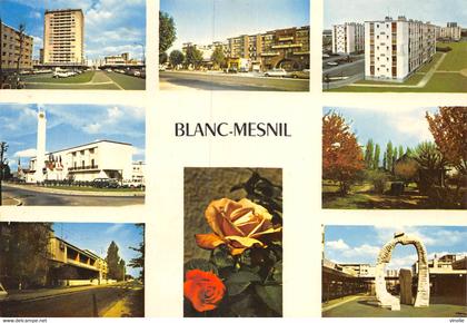 P-FL-M-22-985 : LE BLANC-MESNIL