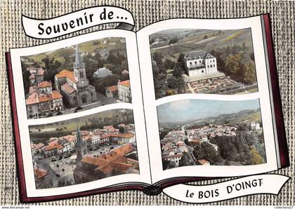 69-LE BOIS D'OINGT - MULTIVUES
