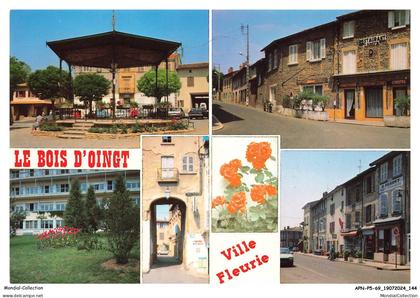 APNP5-0416-69 - LE BOIS D'OINGT