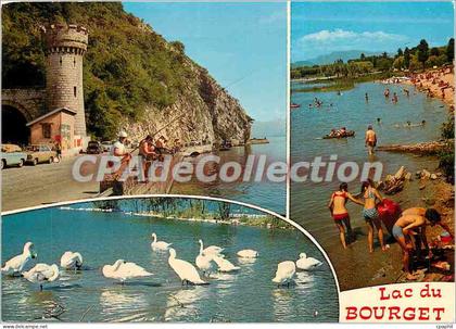 CPSM Le Lac du Bourget (Savoie)