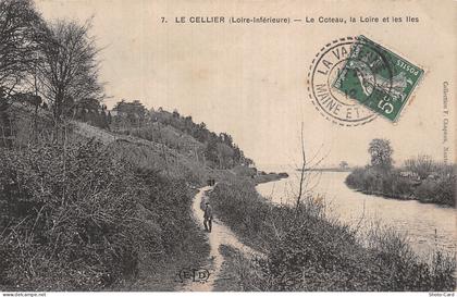 44 LE CELLIER LE COTEAU