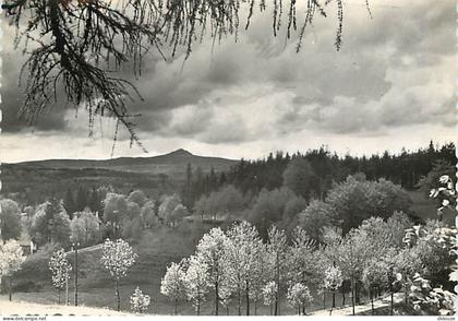 43 - Le Chambon sur Lignon - Le Lizieux au Printemps - Mention Photographie véritable - Carte dentelée - CPSM grand form