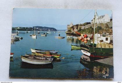 AC576/3, Cpm, le port du Conquet, Finistère 29