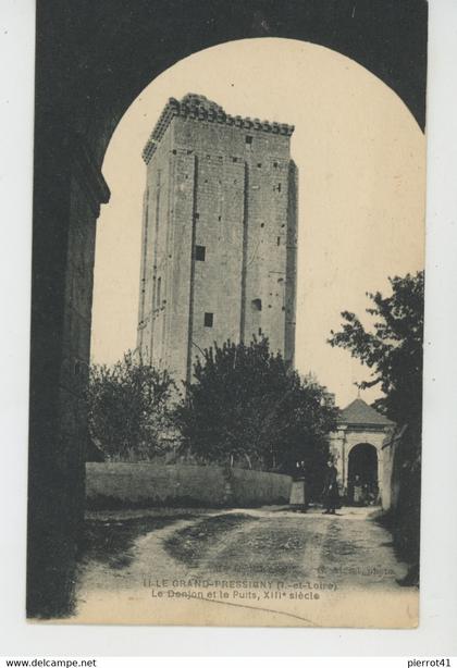 LE GRAND PRESSIGNY - Le Donjon et le Puits
