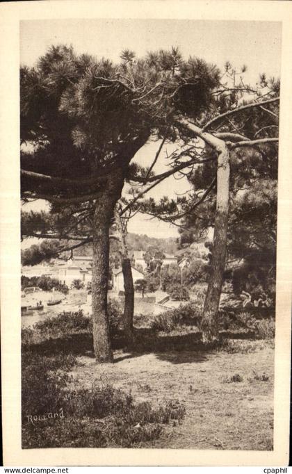 CPA La Corniche des Maures Le Lavandou