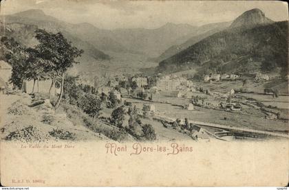 CPA Le Mont Dore La vallee du Mont Dore