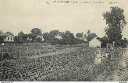 LE PLESSIS-BOUCHARD-chaussée Jules César