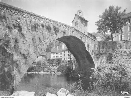 LOZERE  48  LE PONT DE MONTVERT   LE GRAND PONT ET LA TOUR