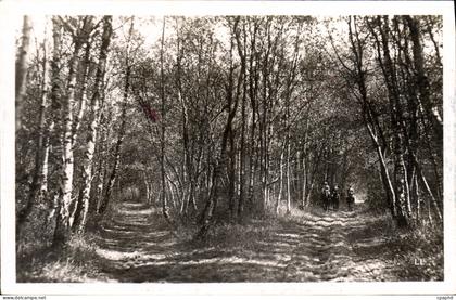 CPM Le Touquet Paris Plage Foret