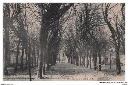 CAR-AHOP12-0612-18 - LES AIX-D'ANGILLON - Allée - Arbres