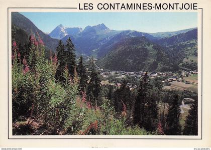 74 LES CONTAMINES MONTJOIE LES CONTAMINES MONTJOIE