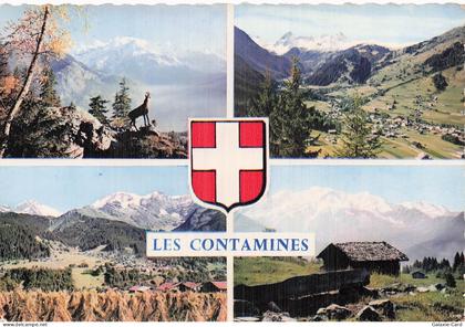 74 LES CONTAMINES MONTJOIE LES CONTAMINES MONTJOIE