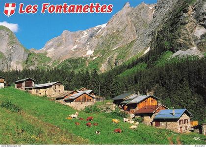 74 LES CONTAMINES MONTJOIE LES FONTANETTES