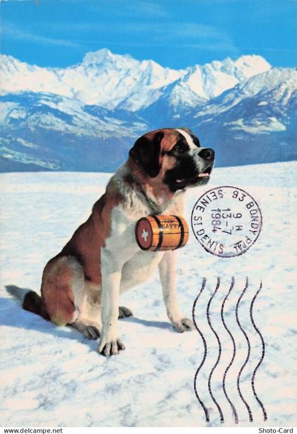 74 LES HOUCHES LES HOUCHES