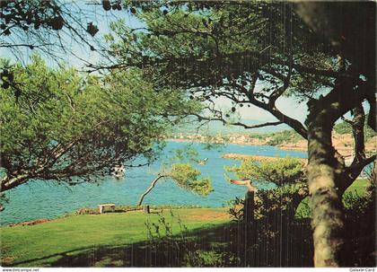 83 LES LECQUES SITE OMBRAGE PERSPECTIVE SUR LES LECQUES