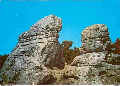 Carte Postale - 07 - Les Vans - Le Bois de Paiolive - Curiosité Géologique - CPM - Voir Scans Recto-Verso - Poscard - Ca