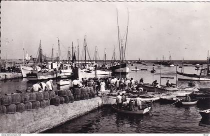 LESCONIL