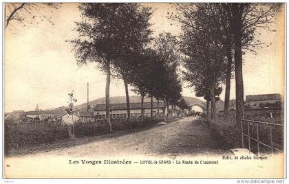Carte Postale Ancienne de LIFFOL le GRAND