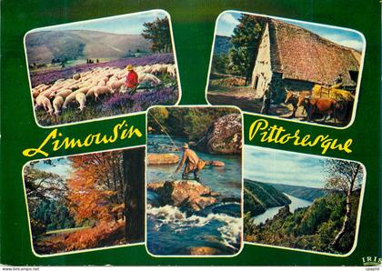 CPM Limousin Pittoresque Paysages du Limousin