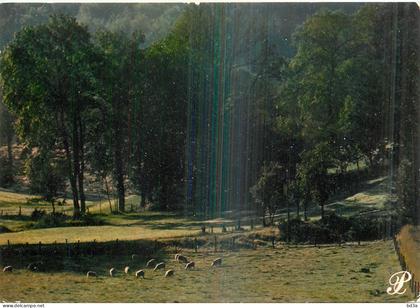 LIMOUSIN
