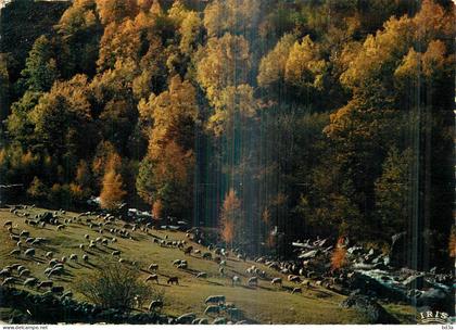 LIMOUSIN PITTORESQUE