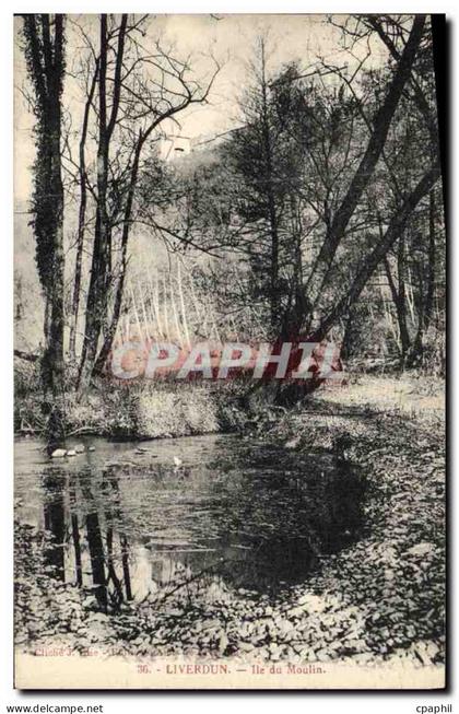 CPA Liverdun Ile du Moulin