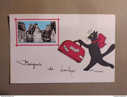 37. LOCHES. CPA avec Photo Bonjour de Loches Illustration Chat