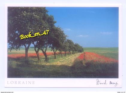 {98893} Lorraine , Entre mirabelles et coquelicots