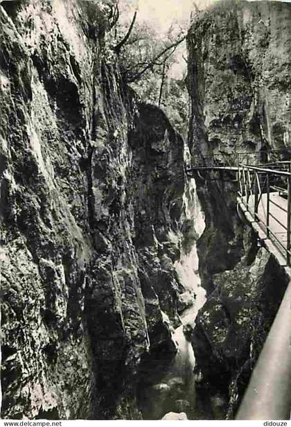 Carte Postale - 74 - Lovagny - Gorges du Fier - L'intérieur des Gorges - Carte Neuve - CPM - Voir Scans Recto-Verso - Po