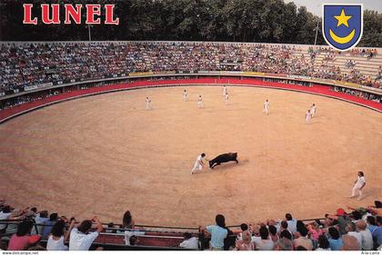 34 LUNEL ARENES DE LUNEL