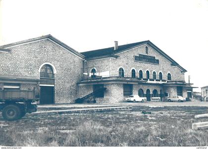 LUNEL SAINT-CHRISTOL CAVE COOPERATIVE HERAULT 34