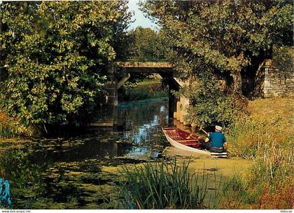 85 - Maillezais - Venise Vendéenne - Promenade au pied de l'Abbaye - CPM - Voir Scans Recto-Verso
