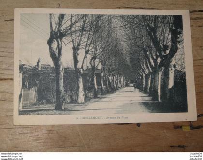 MALLEMORT : avenue du pont ................ 201101-1589