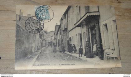 MALLEMORT : la grande rue ............ 11476