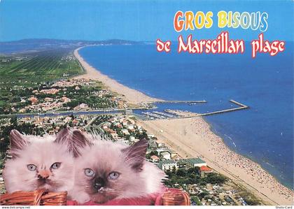 34 MARSEILLAN MARSEILLAN PLAGE