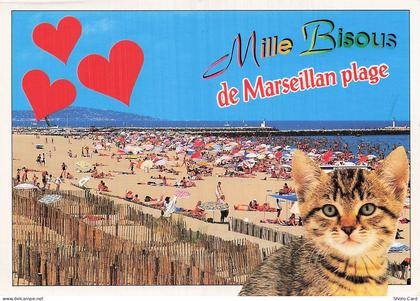 34 MARSEILLAN MARSEILLAN PLAGE