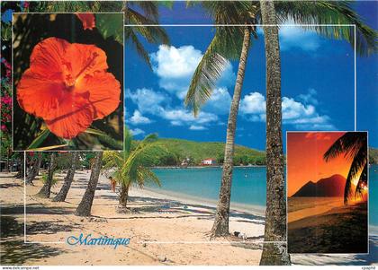 CPM Martinique