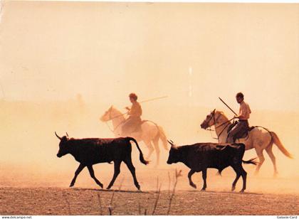 34 MAUGUIO LA CAMARGUE