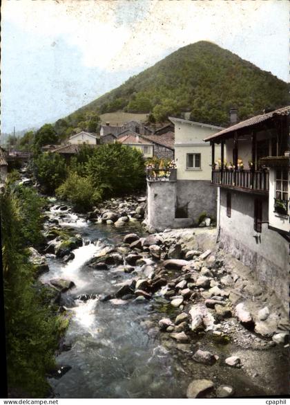 CPM Mauleon Barousse Htes Pyrenees L'Ourse