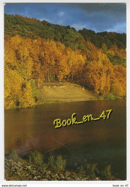 {88732} 78 Yvelines , Le bois de Maurepas ; Comité de Sauvegarde de Maurepas Village