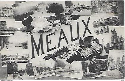 CPA Meaux Vues multiples