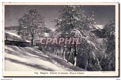 CPA Megeve Station hivernale Fleurs d hiver