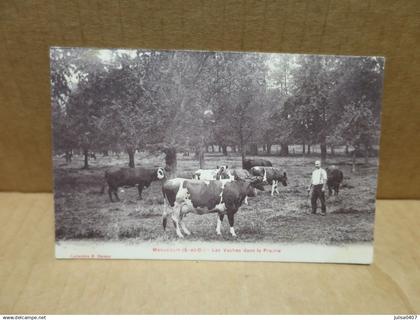 MENUCOURT (95) les Vaches dans la prairie beau plan