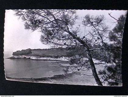 cp, 17, Meschers, pointe Nord de l'Arnêche, voyagée 1960, ed. M. Berjaud n° 364