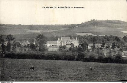CPA Chateau De Mesnieres Panorama