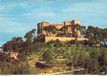 13 MEYRARGUES CHATEAU DE MEYRARGUES