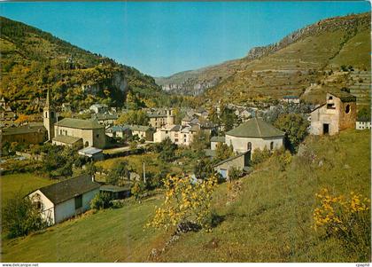 CPM Meyrueis Vue generale
