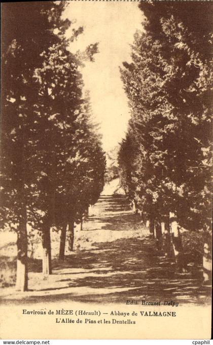CPA Environs de Meze Herault Abbaye de Valmagne L'Allee de Pins et les Dentelles