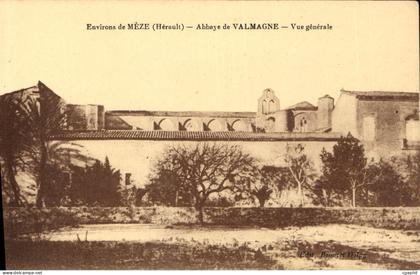CPA Environs de Meze Herault Abbaye de Valmagne Vue generale