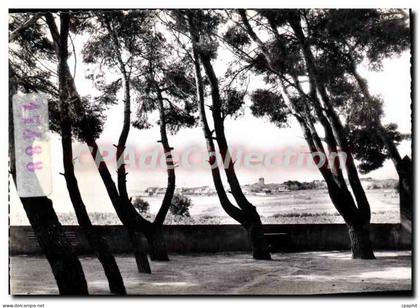 CPM Meze Le Bassin De Thau